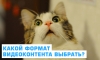 Какой формат видеоконтента выбрать?